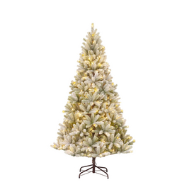 Weihnachtsbaum kaufen bei hagebau