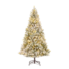 Weihnachtsbaum kaufen bei hagebau