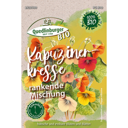 knstlicher weihnachtsbaum spritzguss 180 cm 180cm Weihnachtsbaum Nordmanntanne 600 Spitzen Spritzguss Wei PVC 