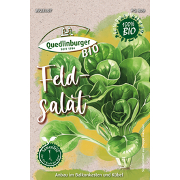 Salatsamen  Gesund Anbauen mit hagebau-Produkten