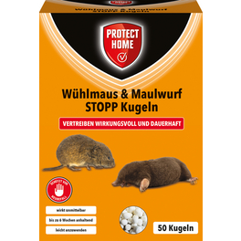 wildblumen saatgut kostenlos BIO Wildblumen Saatgut – Vom Reiter main image 1