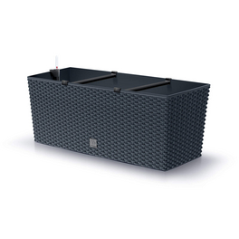 PROSPERPLAST Blumenkasten Rato - hagebau.de