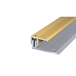 Abschlussprofil »LPS 220«, BxH: 50 x 13 mm, versenkt gelocht