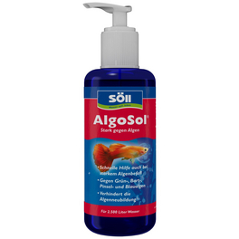 Algenvernichter AlgoSol® 250 ml