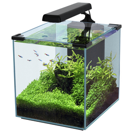 Aquarienset Nano Cubic 30 LED Aquarienset Nano Cubic 30 LED