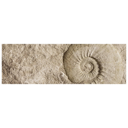Badrückwand »Fossil«, BxH:140 cm x 45 cm, beige