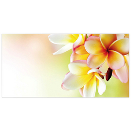 Badrückwand »Hawaii«, BxH:90 cm x 45 cm, orange