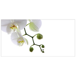 Badrückwand »Orchidee Phala«, BxH:90 cm x 45 cm, weiß
