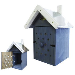 Bienen-Beobachtungen Bienen-Beobachtungen