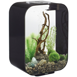 biOrb LIFE 15 LED schwarz biOrb LIFE 15 LED schwarz