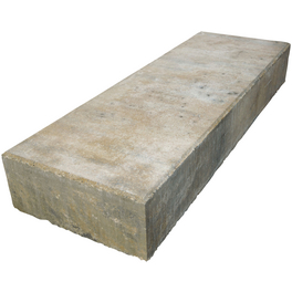 Blockstufe, BxHxL: 100 x 15 x 35 cm, Beton
