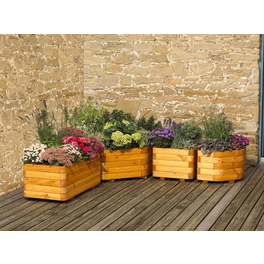 salbei blumenkasten Balkonbox Happy Bee kaufen
