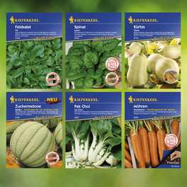Blumenmischung »Superfood – Vitaminpower im eigenen Garten«, 6 Stück Blumenmischung »Superfood – Vitaminpower im eigenen Garten«, 6 Stück
