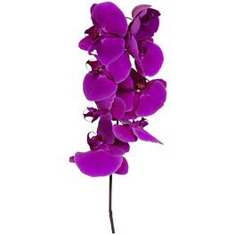 Blumenstrauß »Poly-Rosen, Chrysanthemen, Schleierkraut«, Ø 28–32 cm