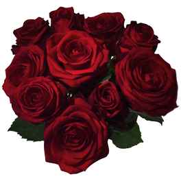 Blumenstrauß »Rose«, Ø 23 cm