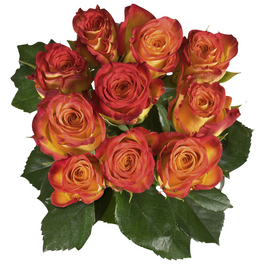 Blumenstrauß »Rose «, Ø 33 cm