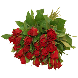 Blumenstrauß »Rose «, Ø 35 cm