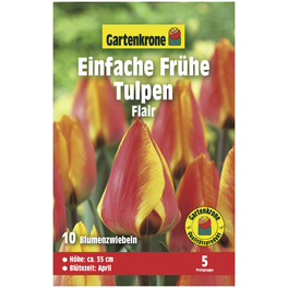 Blumenzwiebeln Einfache Frühe Tulpe, Tulipa x hybrida »Flair«, Blüte: rot