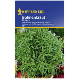 Bohnenkraut, montana Satureja, Saatgut Bohnenkraut, montana Satureja, Saatgut