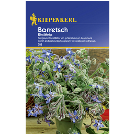 Boretsch officinalis Borago