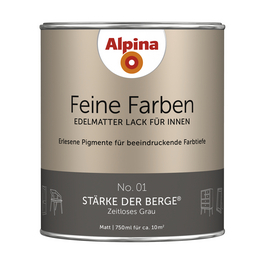 Buntlack »Feine Farben«, 0,75 l, grau
