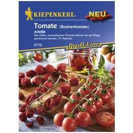 Cherry-Tomate lycopersicum Solanum »Arielle« Cherry-Tomate lycopersicum Solanum »Arielle«