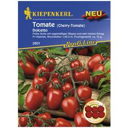 Cherry-Tomate lycopersicum Solanum »Dolcetto«