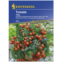 Cherry-Tomate lycopersicum Solanum »Vilma«