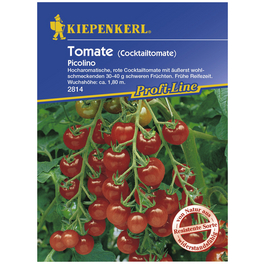 Cocktail-Tomate lycopersicum Solanum »Picolino«