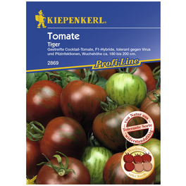 Cocktail-Tomate lycopersicum Solanum »Tiger F1« Cocktail-Tomate lycopersicum Solanum »Tiger F1«