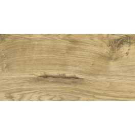 Designboden »Hydrostar«, BxLxS: 235 x 1282 x 6,5 mm, braun Designboden »Hydrostar«, BxLxS: 235 x 1282 x 6,5 mm, braun