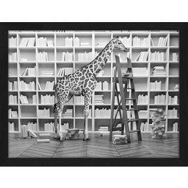 Digitaldruck »Giraffe in der Bücherei«, Rahmen: Buchenholz, Schwarz