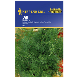 Dill Anethum graveolens var. hortorum »einjährig« Dill Anethum graveolens var. hortorum »einjährig«