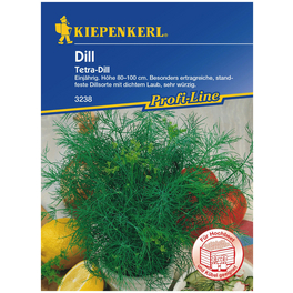 Dill Anethum graveolens var. hortorum »Tetra« Dill Anethum graveolens var. hortorum »Tetra«
