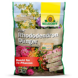 Rhododendron Dnger - online bestellen auf hagebau.de