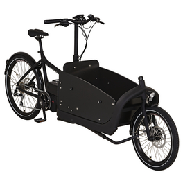 E-Bike »Cargo«, E-Lastenrad, 8-Gang, 26″, RH: 48 cm, 630 W, 36 V, max. Reichweite: 120 km