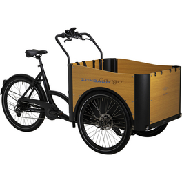 E-Bike, E-Cargobike, Unisex, 26