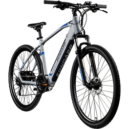 E-Bike, E-Mountainbike, Unisex, 29