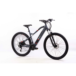 E-Bike Mountainbike, Unisex, 29