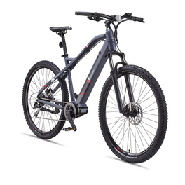 E-Bike Mountainbike, Unisex, 29