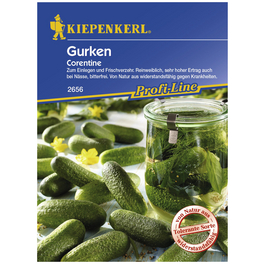 Einlegegurke sativus Cucumis »Corentine«
