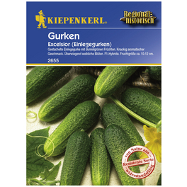 Einlegegurke sativus Cucumis »Excelsior«