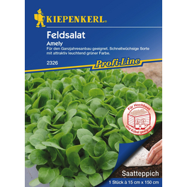 Feldsalat »Amely«, 1 Stück a 15 x 150 cm Feldsalat »Amely«, 1 Stück a 15 x 150 cm