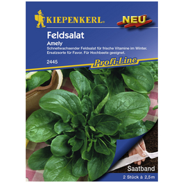Feldsalat locusta Valerianella Feldsalat locusta Valerianella