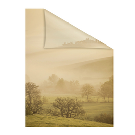 Fensterfolie, Polyvinylchlorid (PVC), Format: 50 x 50 cm (B x L) cm