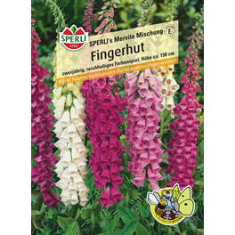 Fingerhut »SPERLI's Mervita Mischung«, zweijährig, prächtige Blütenrispen, Höhe ca. 150 cm
