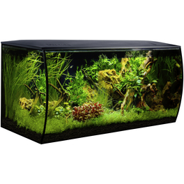 Fluval Aquarium Flex , mit gewölbter Vorderseite, 123 L Fluval Aquarium Flex , mit gewölbter Vorderseite, 123 L