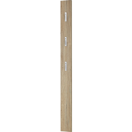 Garderobenpaneel, BxHxT: 15 x 170 x 3 cm, Holz
