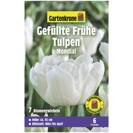 Gartenkrone Tulpe Mondial, Weiß, 7