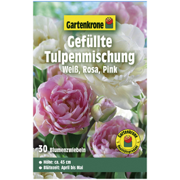 Gartenkrone Tulpen, Mehrfarbig, 30